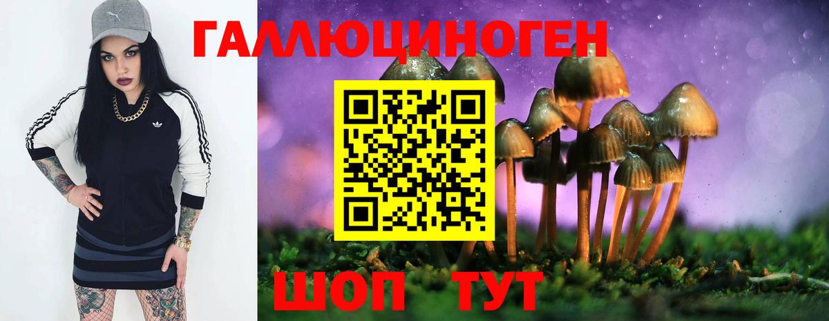 Галлюциногенные грибы Cubensis Дятьково